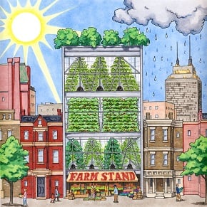 Engineering Everywhere_Vertical Farms
