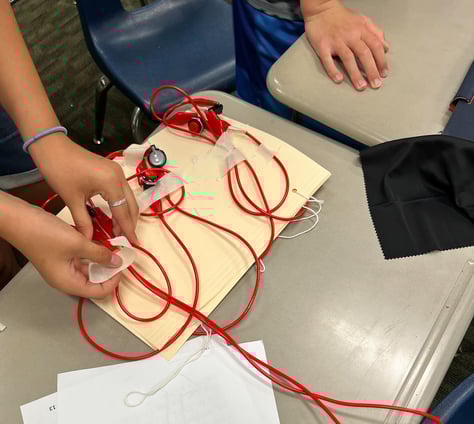 physical design BL Ed